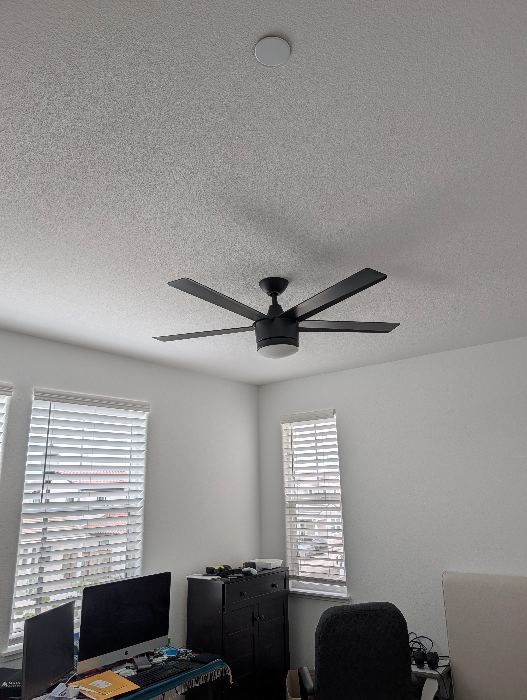 Black Ceiling Fan