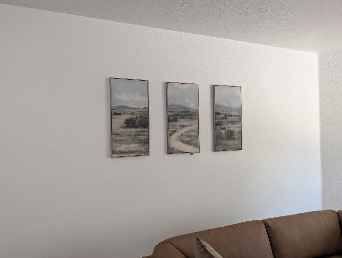 Mounted Triptych Wall Art